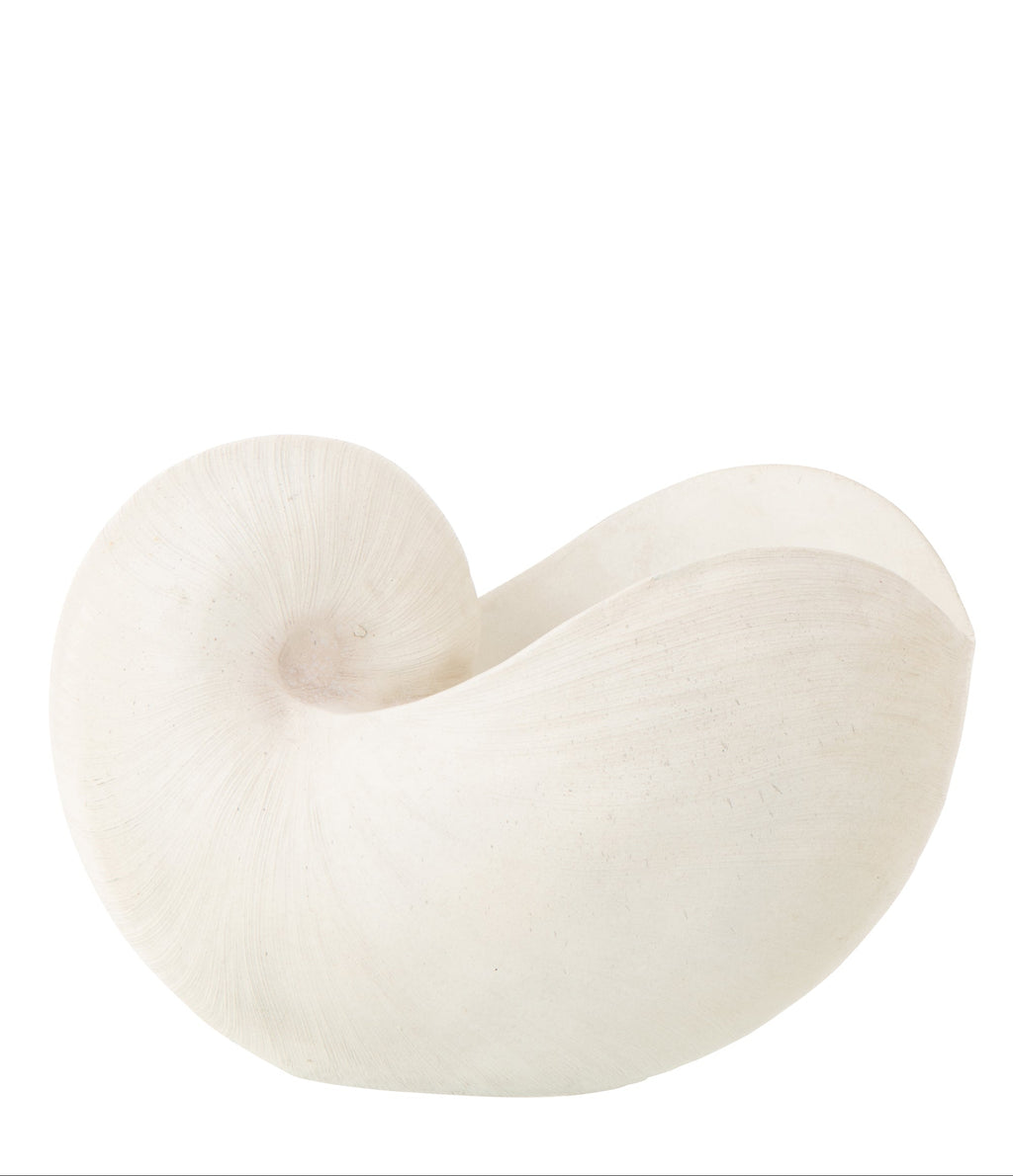 PackShot de coquillages décoratif blanc au design élégant et minimaliste.