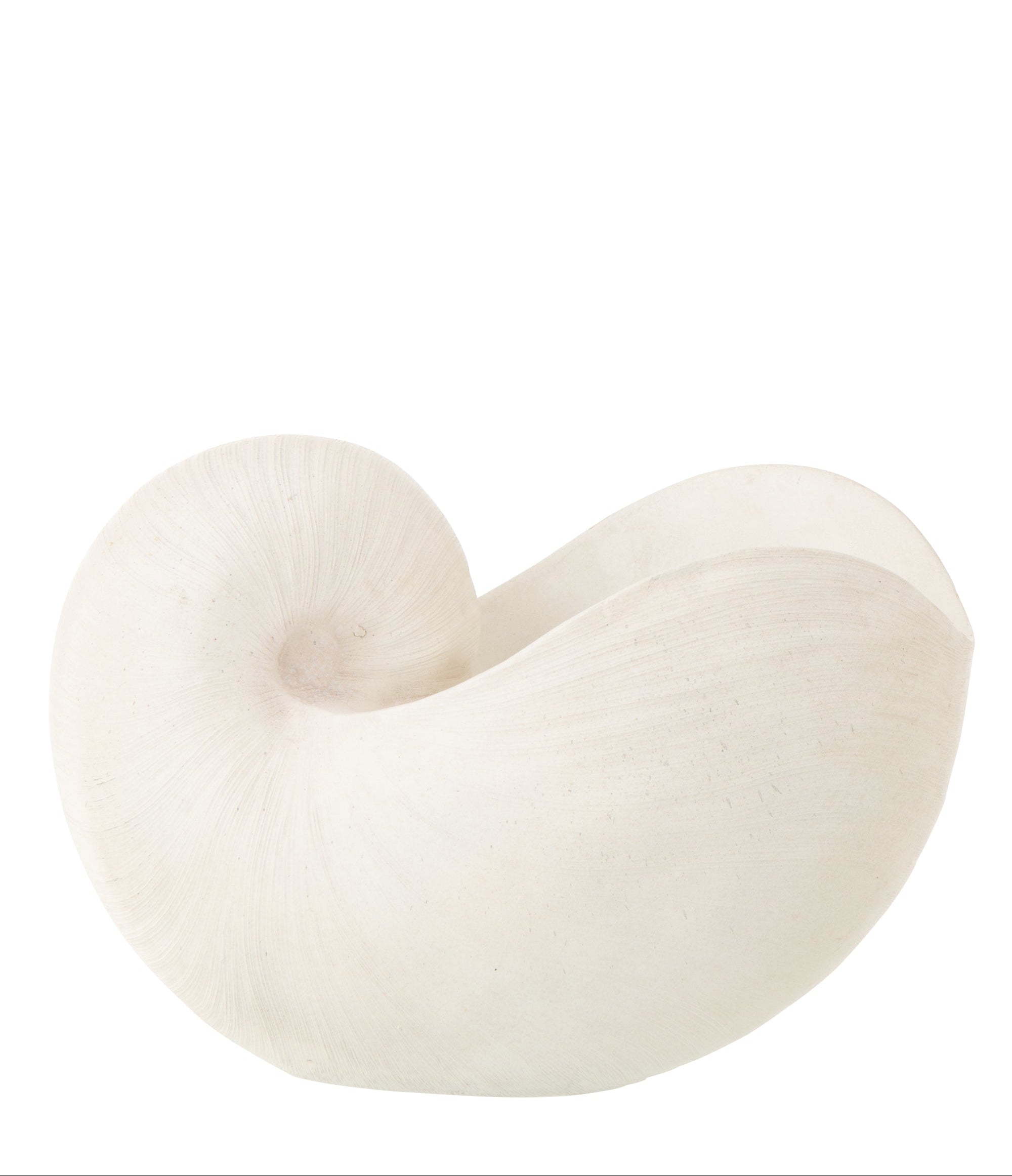 PackShot de coquillages décoratif blanc au design élégant et minimaliste.