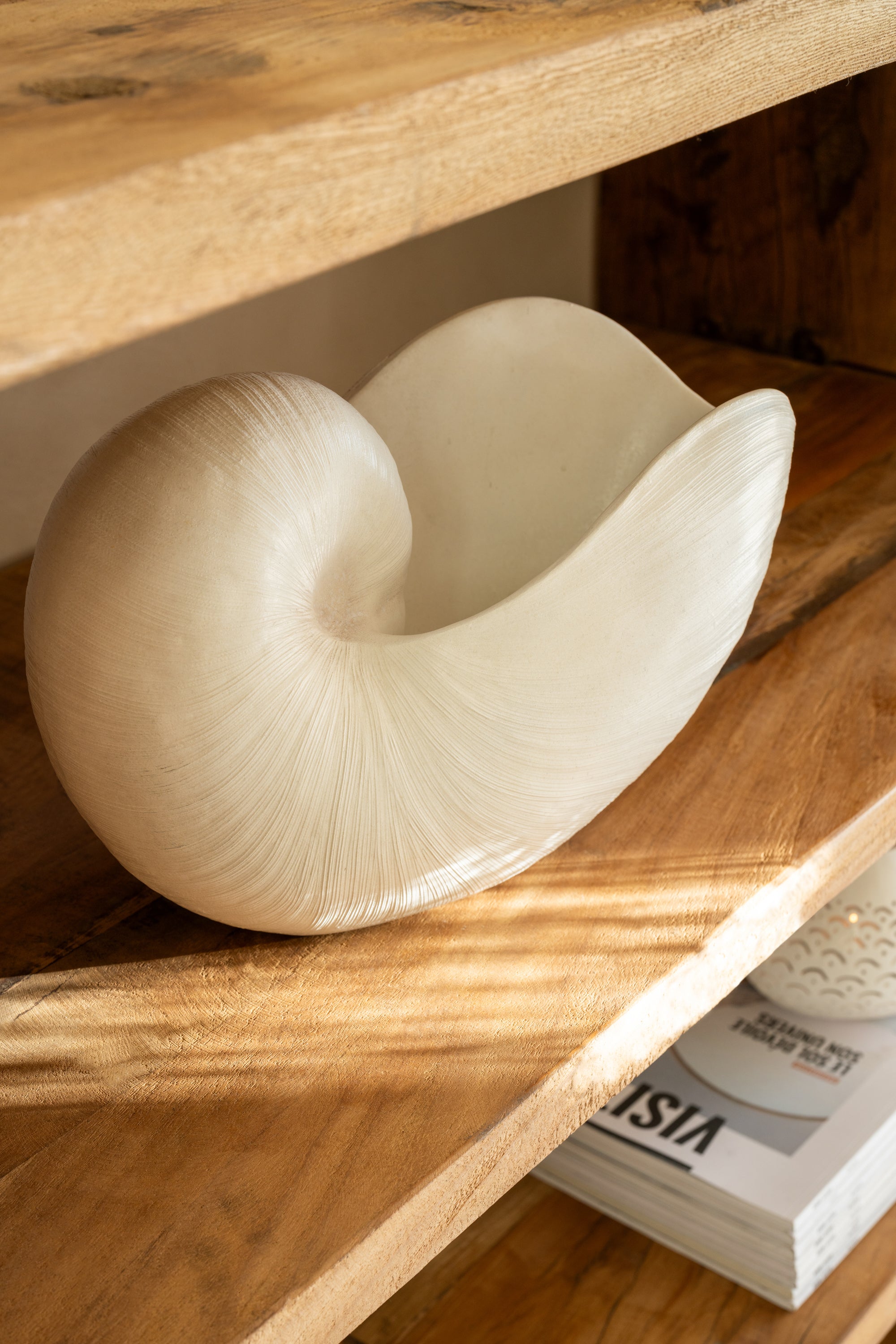 Coquillages décoratif au style naturel et élégant.